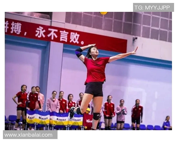 杭州排球队战术实力强劲荣登全国排球战术排行榜第二名