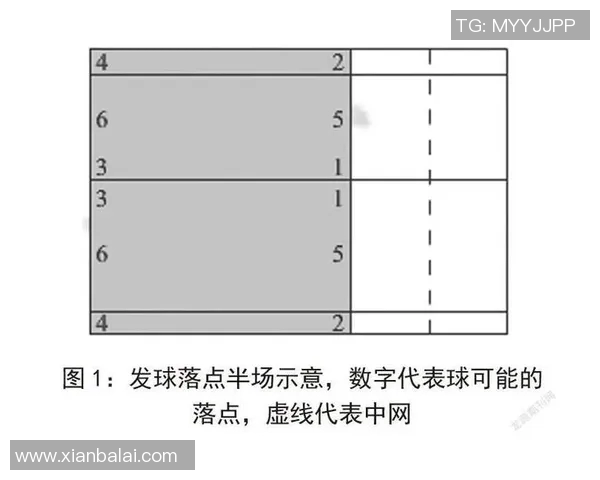重庆羽毛球队个人能力分析与提升策略探讨