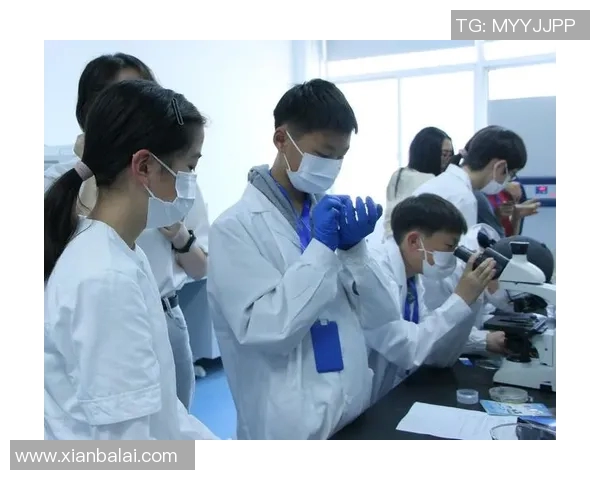 深度对话：探索王磊在篮球世界中的成长与奋斗历程