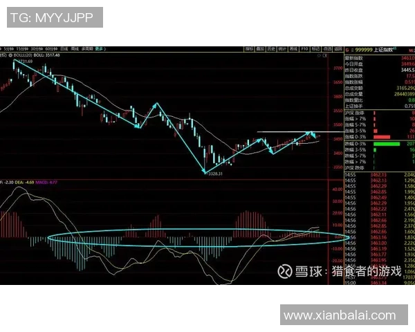 杭州羽毛球队与北京羽毛球队赛后复盘分析比赛节奏与战术对决