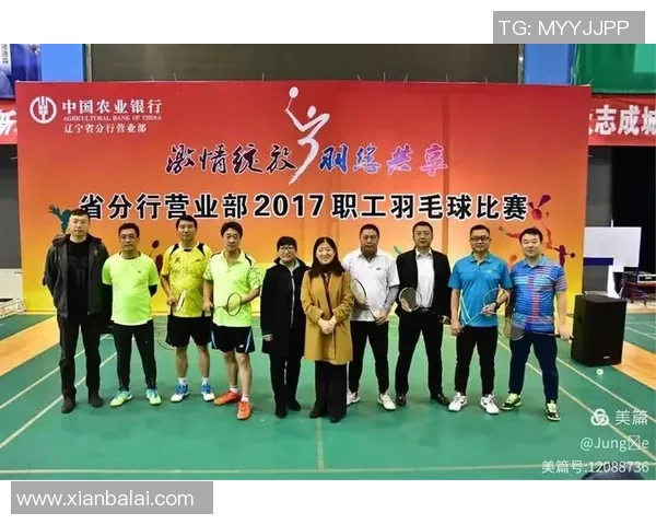 羽毛球战术解析：探秘北京羽毛球队的战术控制与团队协作体系