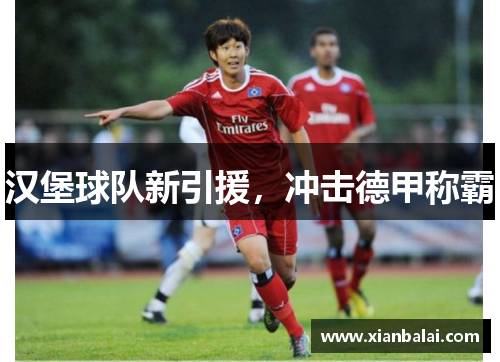 汉堡球队新引援，冲击德甲称霸