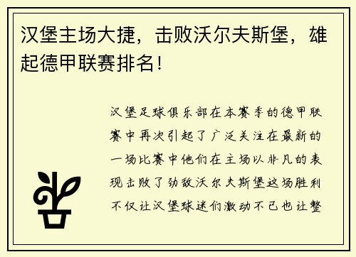 汉堡主场大捷，击败沃尔夫斯堡，雄起德甲联赛排名！