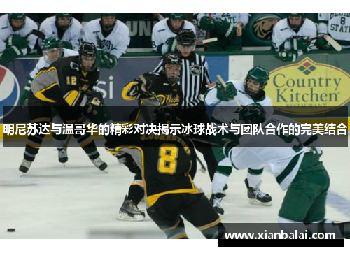 明尼苏达与温哥华的精彩对决揭示冰球战术与团队合作的完美结合